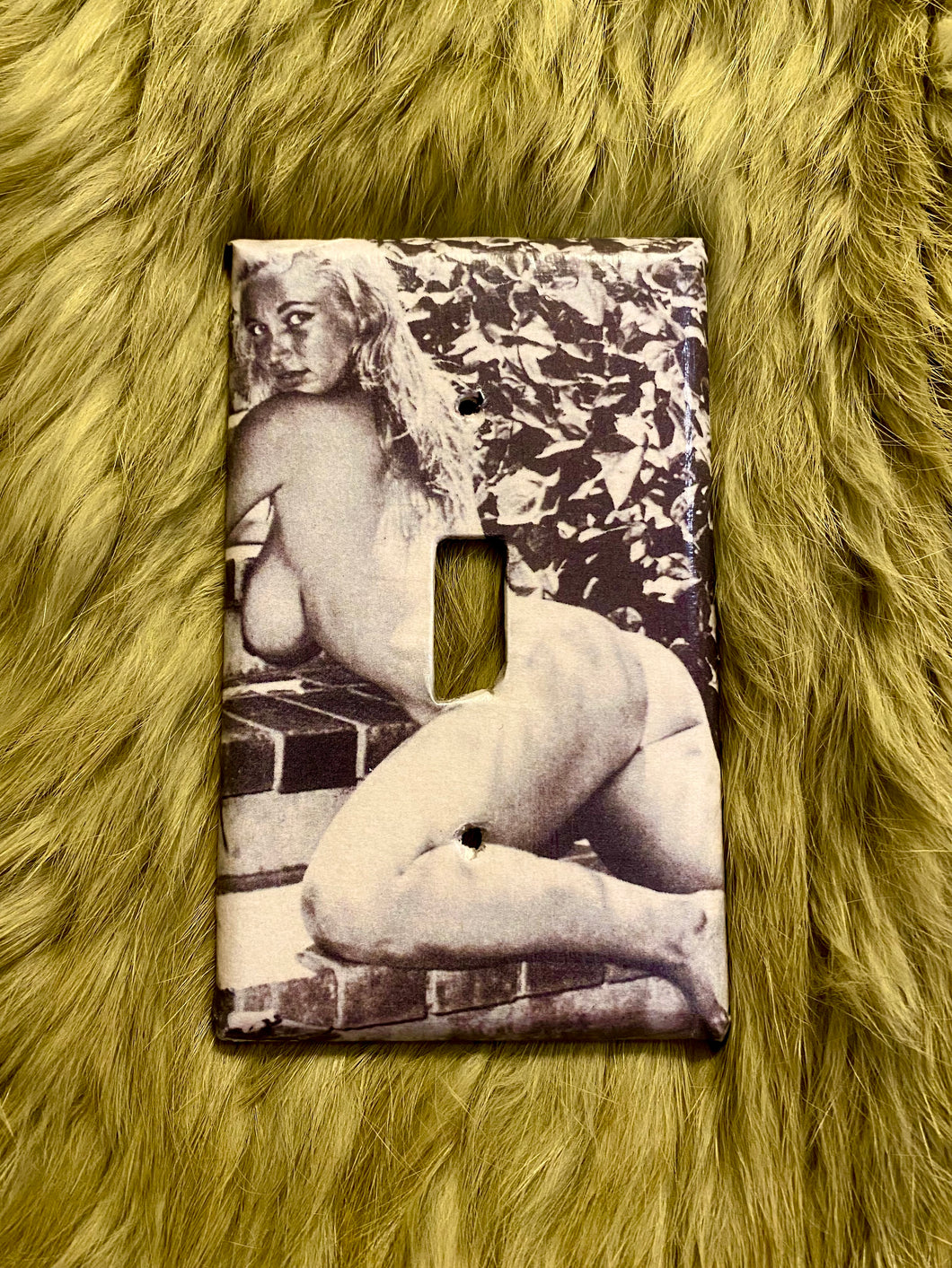 Pinup Switchplate
